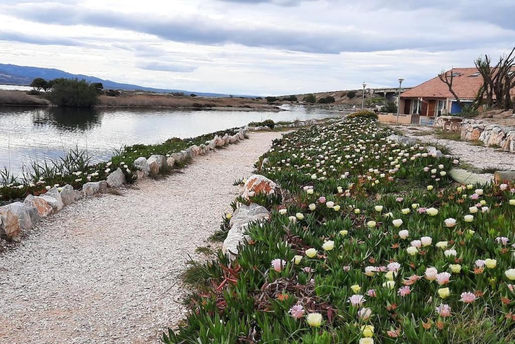 Maisonnette Entre Etang Et Plage Leucate Exterior foto